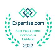 expertise-new.png.webp